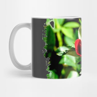 Rose Bud Mug